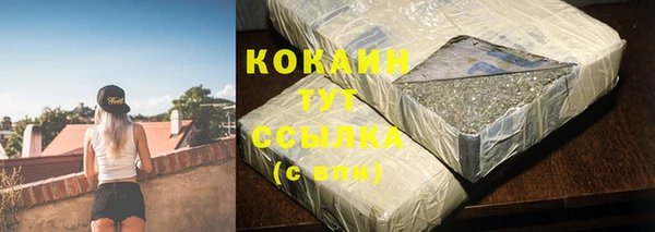 дмт Тавда
