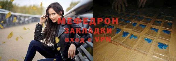 амф Тайга
