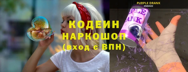 дмт Тавда