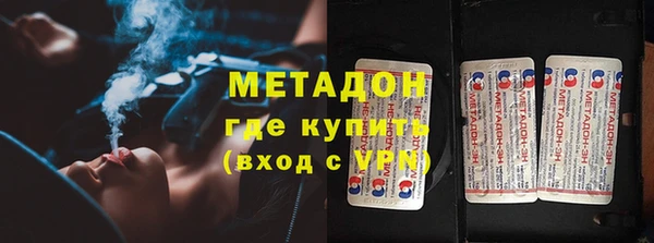 амф Тайга