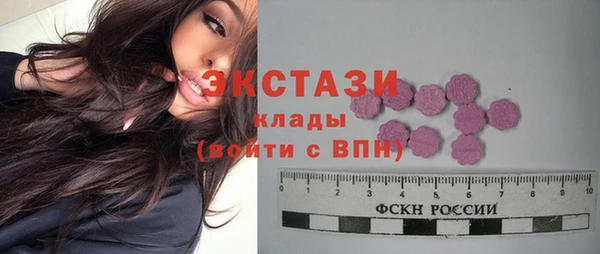 амф Тайга
