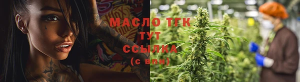 амф Тайга