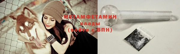 дмт Тавда