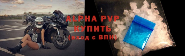 амф Тайга