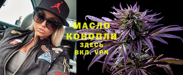 амф Тайга