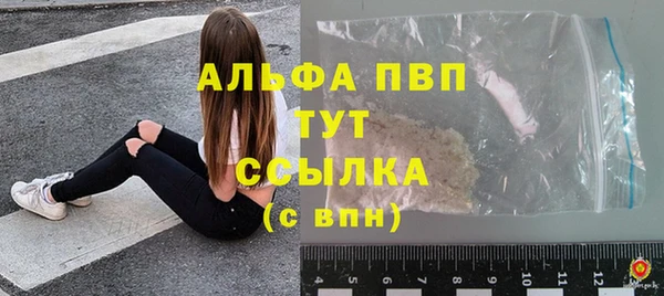 дмт Тавда