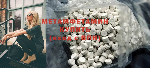 амф Тайга
