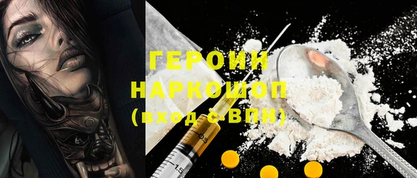 амф Тайга