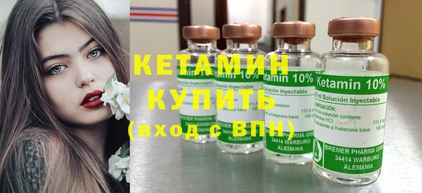 амф Тайга