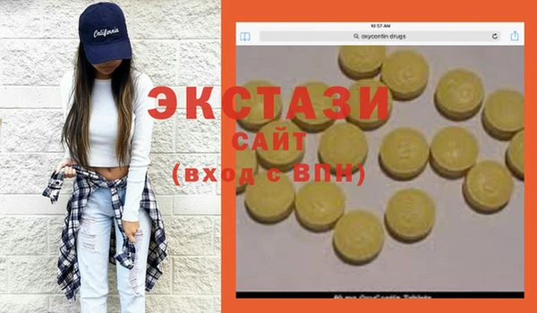 амф Тайга