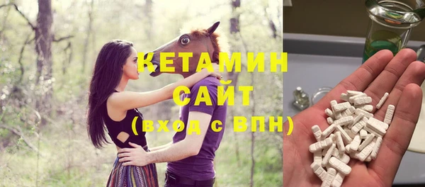 амф Тайга