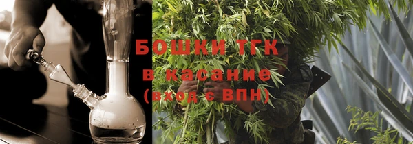 дмт Тавда