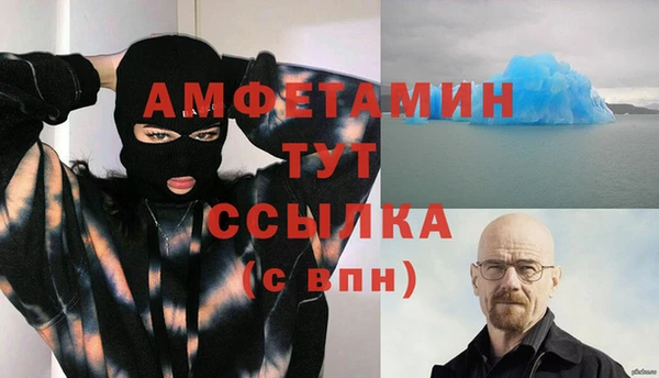 дмт Тавда
