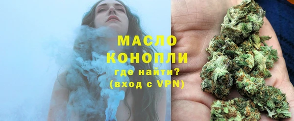 дмт Тавда