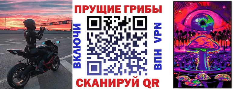 MEGA сайт  магазин продажи наркотиков  Богучар  Галлюциногенные грибы Psilocybe 